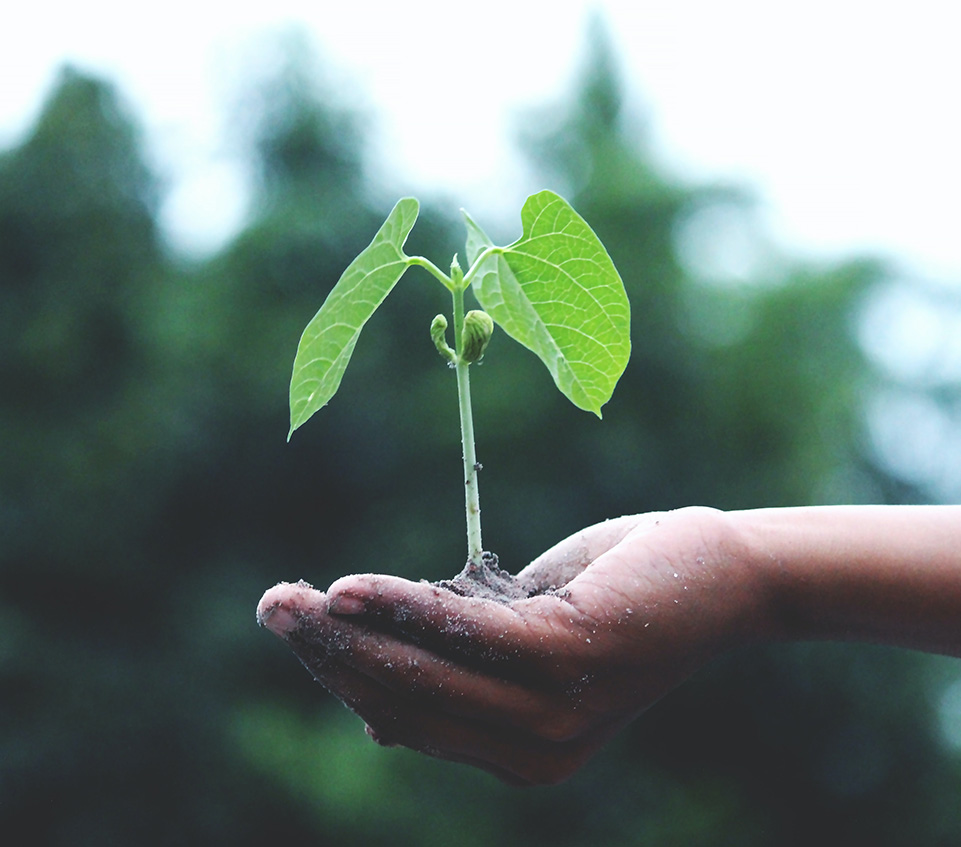 ���쿵������������ʱ����������Ƴ�������ù����